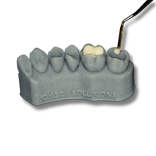 Modelo cavitado para escultura dental - Bob Tooth