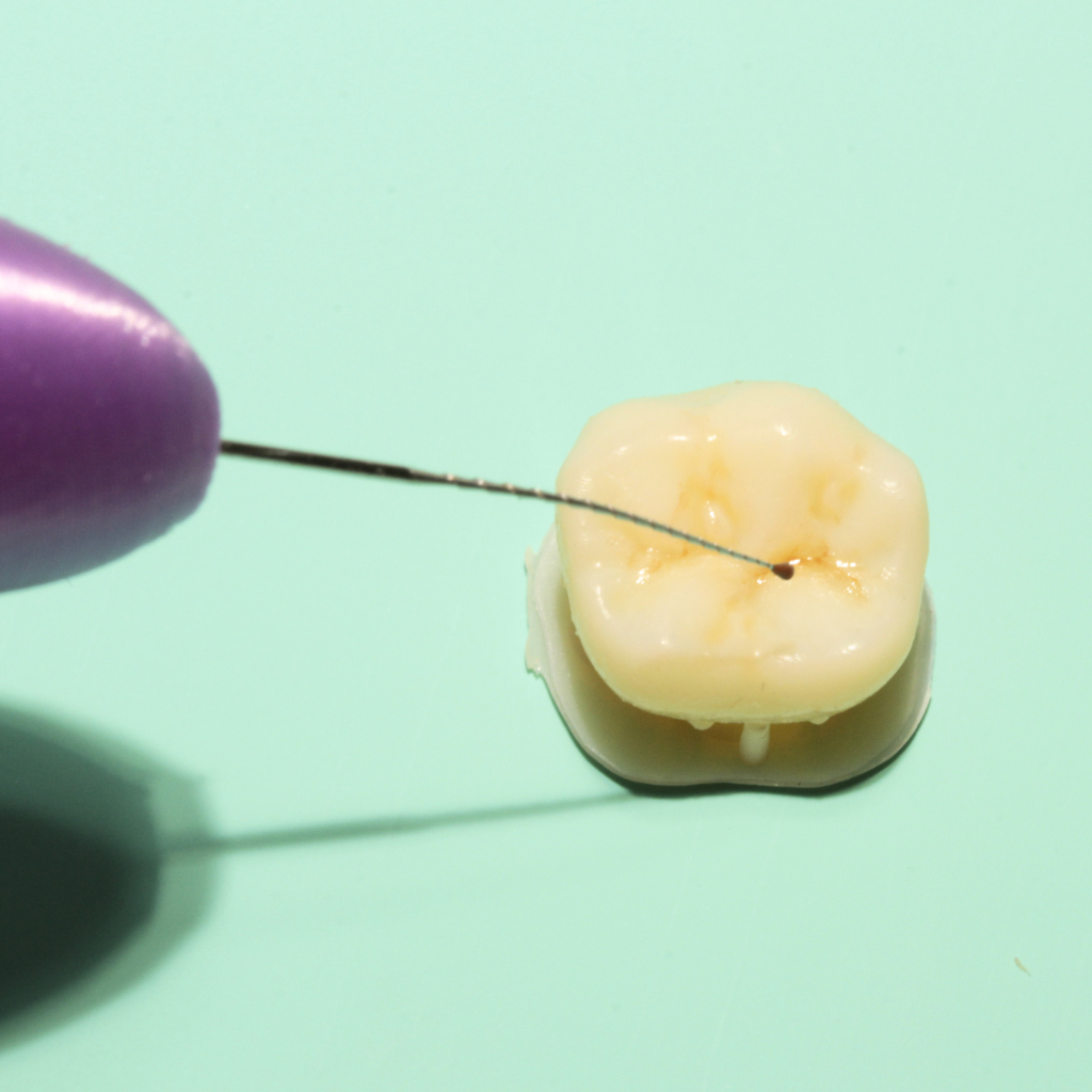 MorphoPen Preta - Suporte de lima