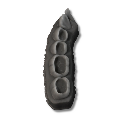 Modelo cavitado para escultura dental - Bob Tooth