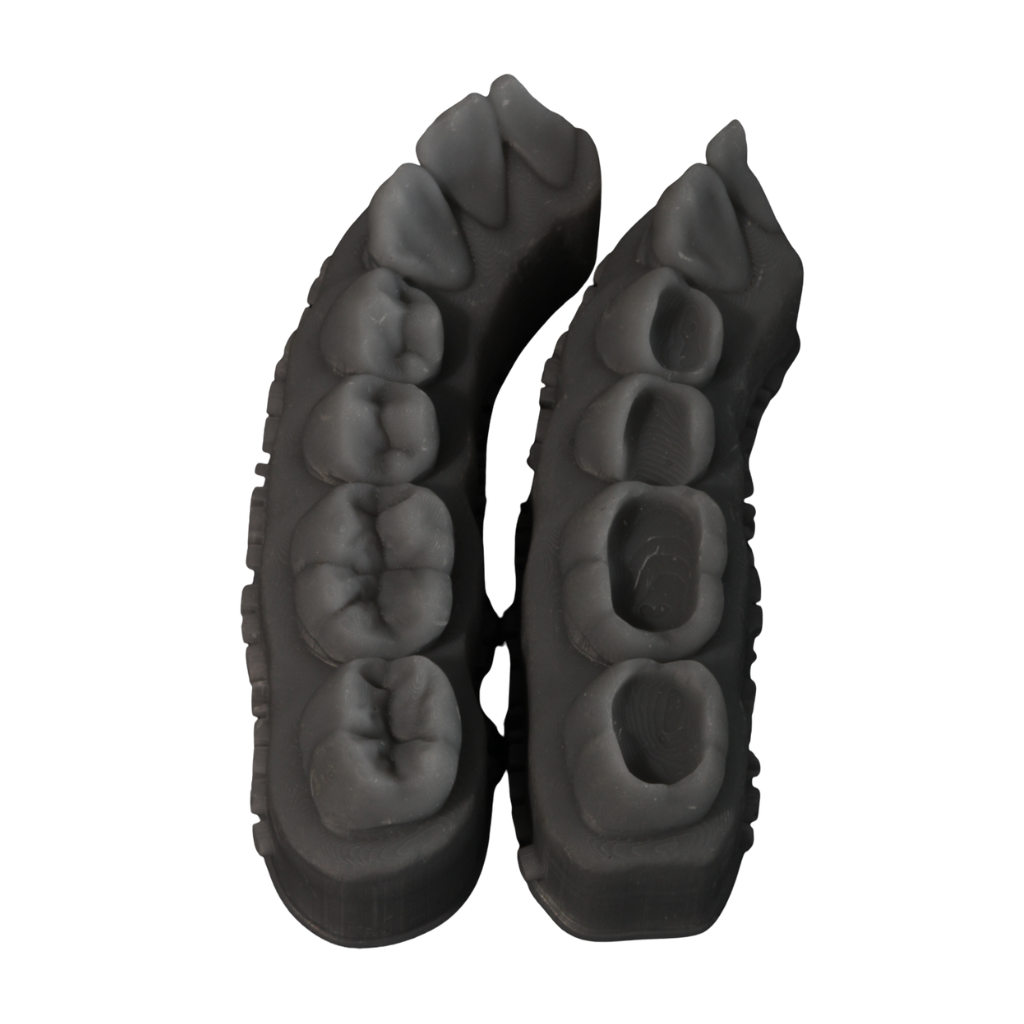 Kit de Dentistica - Morphopen, Modelo Cavitado e suporte de resina