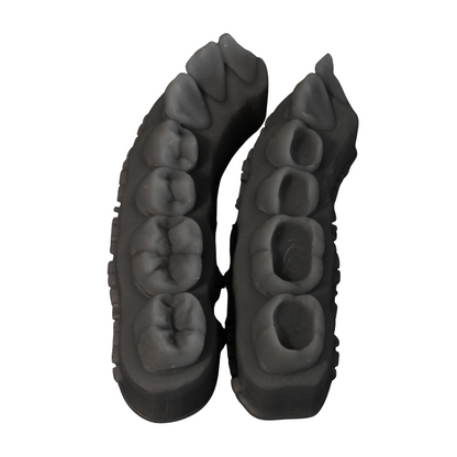 Kit de Dentistica - Morphopen, Modelo Cavitado e suporte de resina