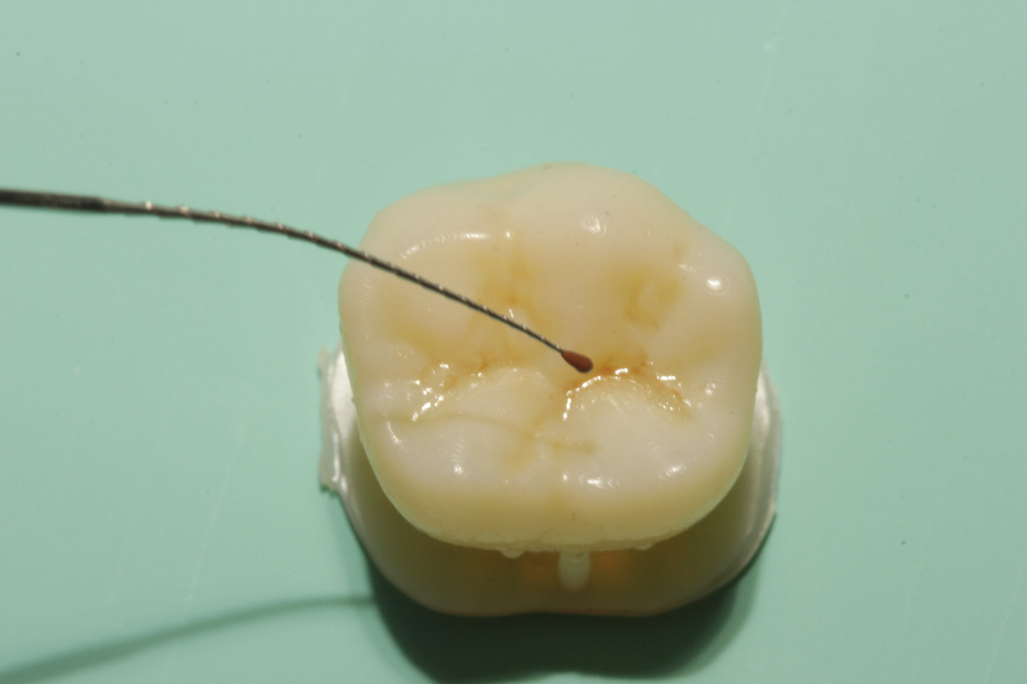 MorphoPen Azul – Suporte para lima